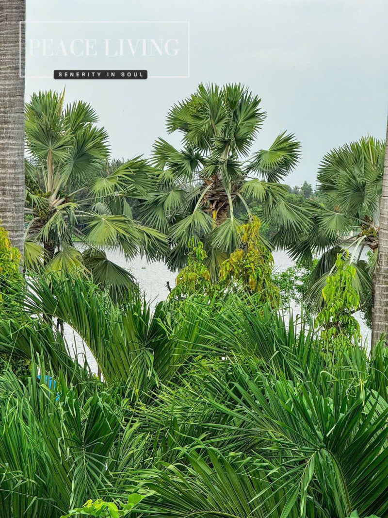 Comfortable Urban One-Bedroom Living