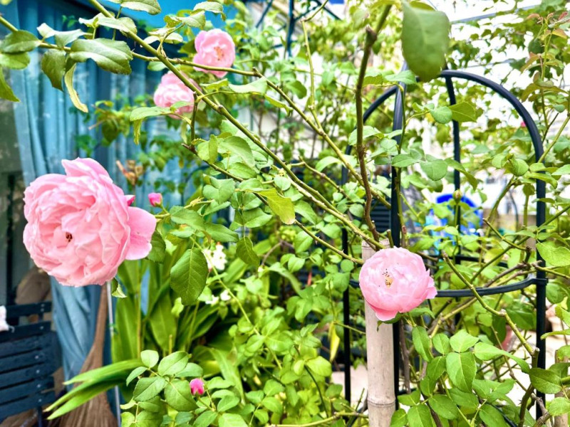 Well-Crafted One-Bedroom Apartment