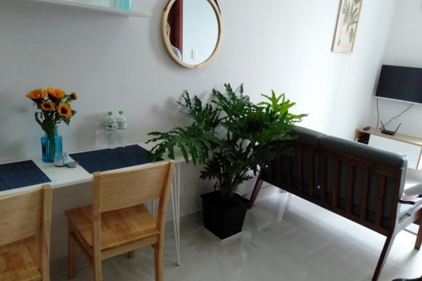 A Light-Driven One-Bedroom Apartment-Thảo điền