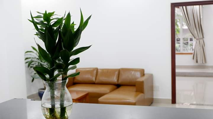 Warm Vibes One-Bedroom Apartment