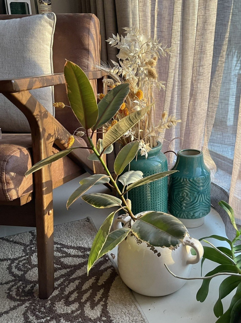 A Bright & Cozy One-Bedroom Apartment