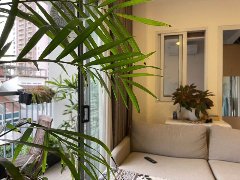 One-Bedroom Living with Peaceful Energy