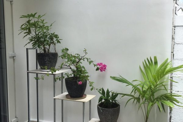 Soft, Cozy Two-Bedroom Living in Thao Dien