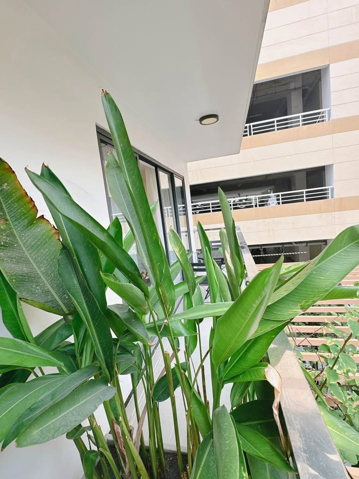 An Elegant Two-Bedroom Home in Thao Dien Neighborhood