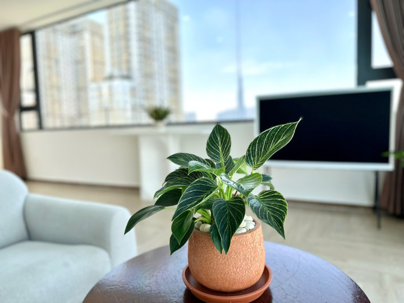 Penhouse -Beautiful Family Home in Thao Dien – 3 Bedrooms