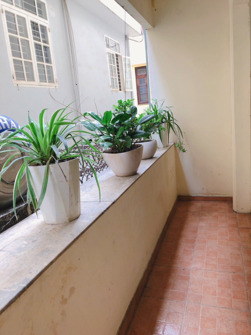 Sunny 3BR Apartment with a Cozy Feel