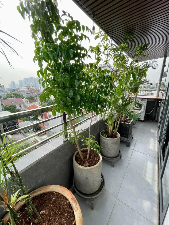Rooftop studio for rent in Thảo điền