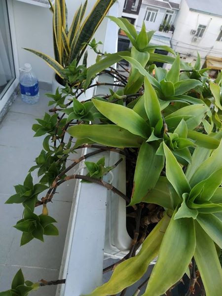 Where Minimal Design Feels Warm