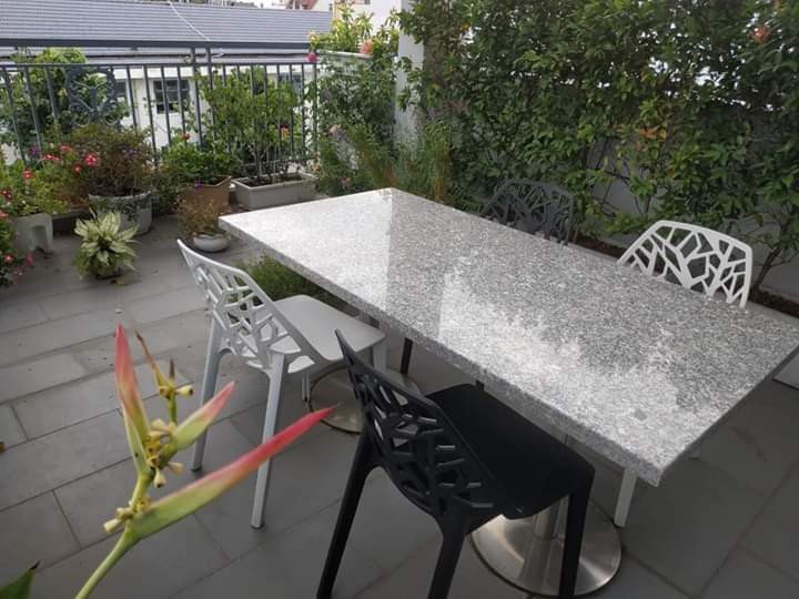 A Private Yard  Studio with Natural Charm