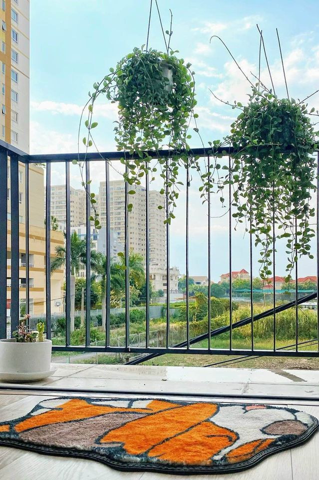 Well-Designed Studio with Smart Layout