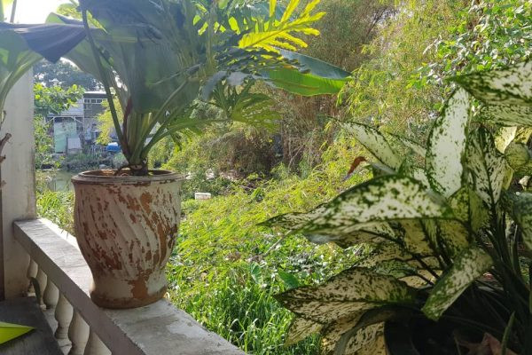 Practical Studio in Thao Dien