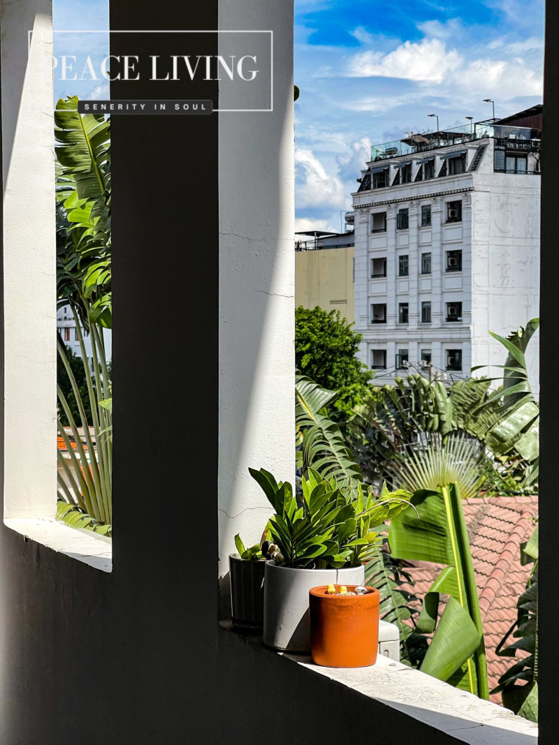 Designed to Feel Like Home