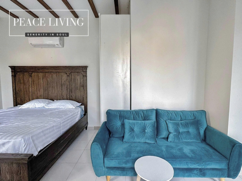 Zen-Inspired Studio Apartment